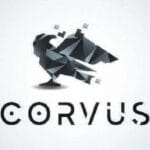 corvus