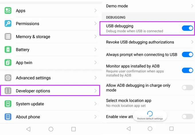 enable developer options